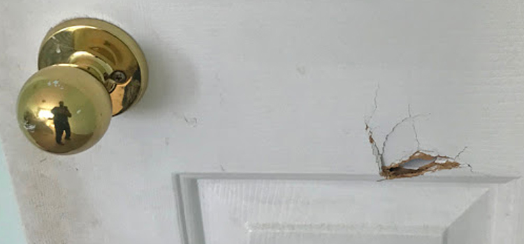 interior door hole repair Oroville East