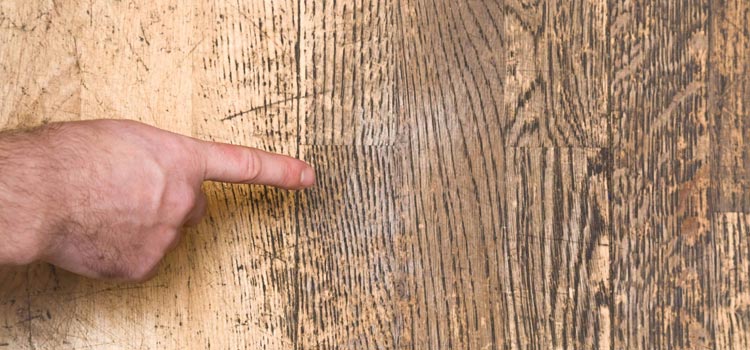 Wood Door Scratch Repair in Oroville East